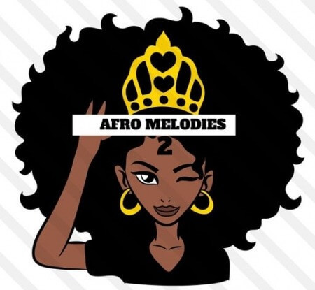 HOOKSHOW Afro Melodies 2 WAV